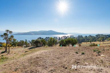 Residential Block For Sale - TAS - Dennes Point - 7150 - Panoramic Water Views, Walk to the Beach & Exceptional Coastal Development Opportunity  (Image 2)