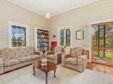 Acreage/Semi-rural For Sale - NSW - Candelo - 2550 - CHARMING HOME WITH OVER 300M CREEK FRONTAGE  (Image 2)