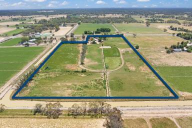 House Auction - VIC - Echuca - 3564 - Rural Lifestyle Property just minutes from Echuca - 6.57 ha (16.29 acres approx.)  (Image 2)