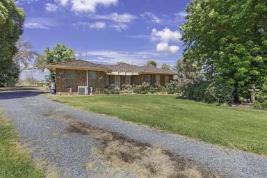 House Auction - VIC - Echuca - 3564 - Rural Lifestyle Property just minutes from Echuca - 6.57 ha (16.29 acres approx.)  (Image 2)