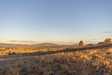 Lifestyle For Sale - NSW - Mudgee - 2850 - PREMIUM LAND OPPORTUNITY - ONLY 2 BLOCKS REMAINING  (Image 2)
