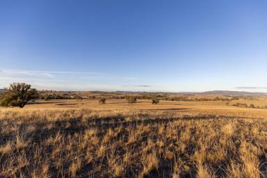 Lifestyle For Sale - NSW - Mudgee - 2850 - 'DARTHULA'  (Image 2)