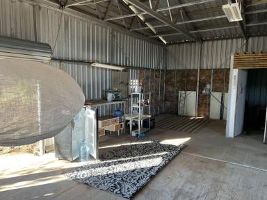 House For Sale - NSW - Lightning Ridge - 2834 - Aviation Lifestyle Hangar - Lightning Ridge Airport  (Image 2)