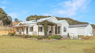 Lifestyle For Sale - NSW - Niangala - 2354 - PRODUCTIVE LIFESTYLE ESCAPE (Image 2)