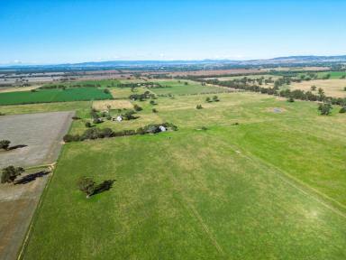 Mixed Farming Auction - NSW - Walla Walla - 2659 - “Killara” – Productive Rural Holding in the Heart of Walla Walla District  (Image 2)