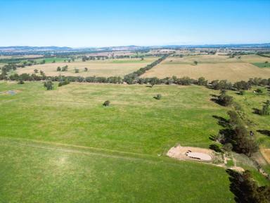 Mixed Farming Auction - NSW - Walla Walla - 2659 - “Killara” – Productive Rural Holding in the Heart of Walla Walla District  (Image 2)