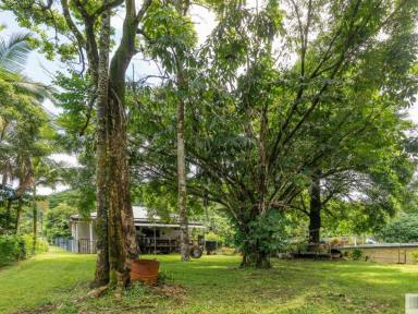 House For Sale - QLD - Tully - 4854 - Spacious Six-Bedroom Highset Home in Central Tully  (Image 2)