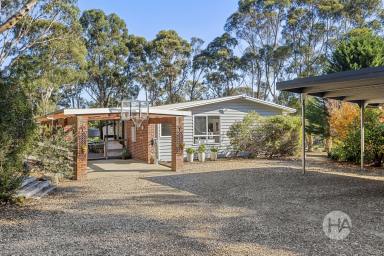 Acreage/Semi-rural For Sale - VIC - Bittern - 3918 - Your Private 2.8 Acre Sanctuary with Sole  (Image 2)