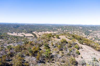 Lifestyle For Sale - NSW - Emmaville - 2371 - Lifestyle and Hunting Retreat with River Frontage  (Image 2)