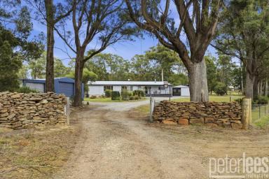 House For Sale - TAS - Gravelly Beach - 7276 - Lifestyle Buyers Dream with Tamar River Views & Space for Boats and Vans  (Image 2)