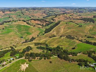 Other (Rural) For Sale - VIC - Strzelecki - 3950 - Hill Country Grazing / Recreation property  (Image 2)