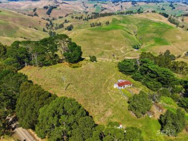 Other (Rural) For Sale - VIC - Strzelecki - 3950 - Hill Country Grazing / Recreation property  (Image 2)