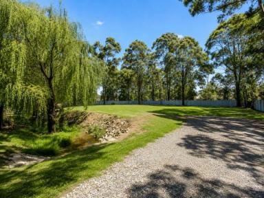 Residential Block For Sale - NSW - Bellbird - 2325 - Land for sale Hunter Valley  (Image 2)