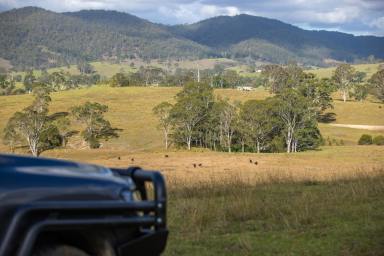 Other (Rural) For Sale - NSW - Gloucester - 2422 - "Belvedere Valle"  (Image 2)