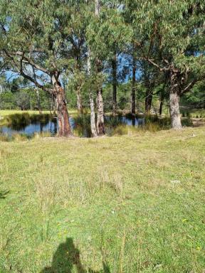 Lifestyle For Sale - VIC - Merrijig - 3875 - Rare & Unique Hidden Gem  (Image 2)