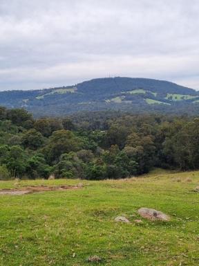Lifestyle For Sale - VIC - Merrijig - 3875 - Rare & Unique Hidden Gem  (Image 2)