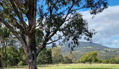 Lifestyle For Sale - VIC - Merrijig - 3875 - Rare & Unique Hidden Gem (Image 2)