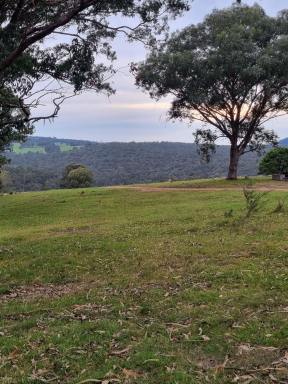 Lifestyle For Sale - VIC - Merrijig - 3875 - Rare & Unique Hidden Gem (Image 2)