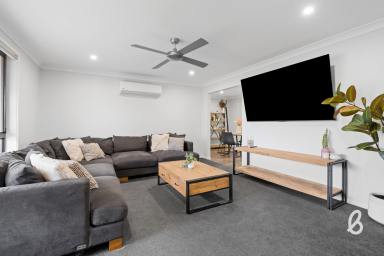 House For Sale - NSW - Singleton - 2330 - Spacious Four Bedroom Home in Quiet Family-Friendly Location  (Image 2)