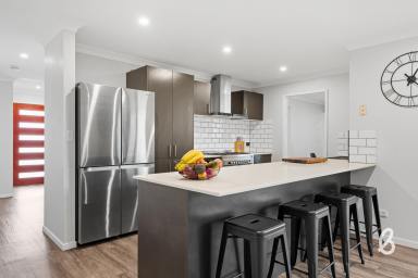 House Sold - NSW - Singleton - 2330 - Spacious Four Bedroom Home in Quiet Family-Friendly Location  (Image 2)