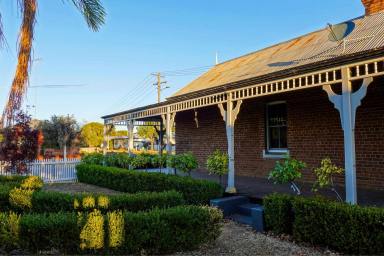House For Sale - NSW - Gulgong - 2852 - A STORYBOOK COTTAGE IN GULGONG  (Image 2)