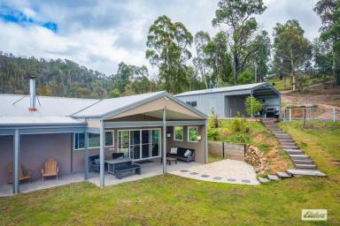 Acreage/Semi-rural For Sale - NSW - Yowrie - 2550 - "ORCHID RIDGE" - A PRIVATE MOUNTAIN SANCTUARY WITH EXTRAORDINARY VIEWS  (Image 2)