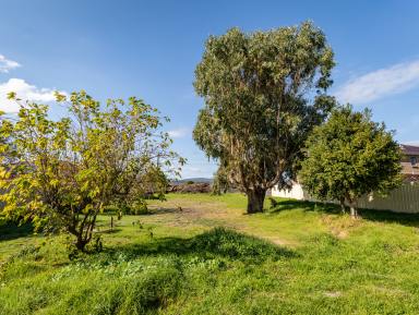 Residential Block For Sale - WA - Bayonet Head - 6330 - Build Option in Beloved Bayonet (Image 2)