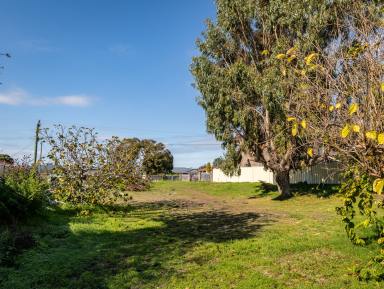 Residential Block For Sale - WA - Bayonet Head - 6330 - Build Option in Beloved Bayonet (Image 2)