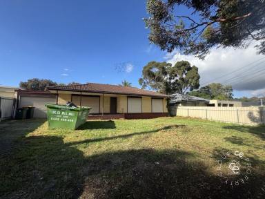 House For Sale - SA - Ingle Farm - 5098 - Currently occupied but requiring work if to be kept; it is most likely going to be developed. (Image 2)