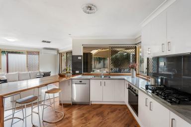 House For Sale - WA - South Lake - 6164 - Contemporary Comfort on a Huge Corner Block with Endless Family Appeal  (Image 2)