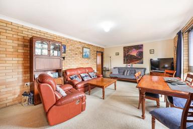 House Auction - NSW - Tamworth - 2340 - Solid Unit Opportunity in a Prime Location  (Image 2)