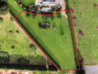 Residential Block For Sale - NSW - Moss Vale - 2577 - Privacy & Potential (Image 2)