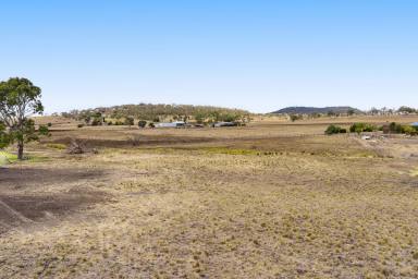 House For Sale - QLD - East Greenmount - 4359 - Greenmount, QLD | Acreage Living with Space, Privacy & Shedding (Image 2)