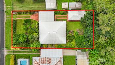 House Sold - QLD - Mareeba - 4880 - FAMILY-FRIENDLY HOME FULL OF CHARACTER & CHARM  (Image 2)