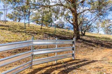 Other (Rural) For Sale - NSW - Sofala - 2795 - 'Aubrey Rest' - Weekends with a view  (Image 2)