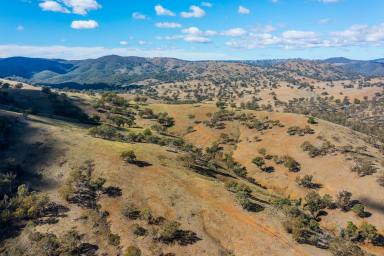 Other (Rural) For Sale - NSW - Sofala - 2795 - 'Aubrey Rest' - Weekends with a view  (Image 2)