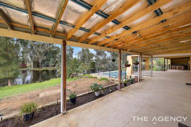 House For Sale - WA - Baldivis - 6171 - RURAL LIFESTYLE PROPERTY: 9.87ha INC 2 FAMILY HOMES  (Image 2)