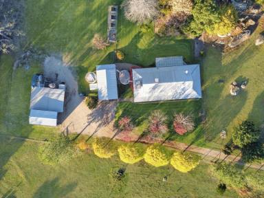 House For Sale - NSW - Young - 2594 - Where Life Begins  (Image 2)