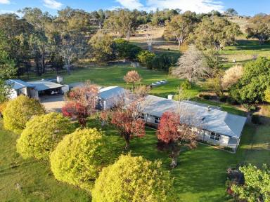 House For Sale - NSW - Young - 2594 - Where Life Begins  (Image 2)