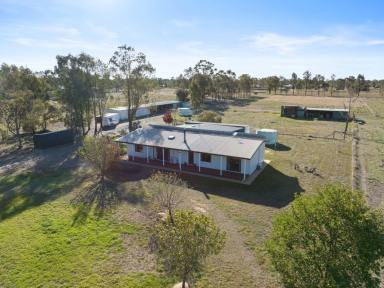 House For Sale - VIC - Wilby - 3728 - Country Living in Wilby - Horse‑Ready Lifestyle Property with Subdivision Potential (STCA) (Image 2)