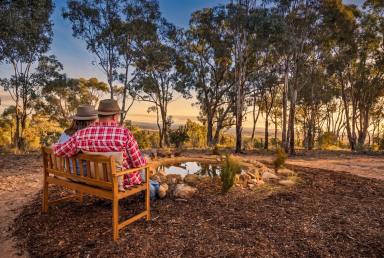House For Sale - NSW - Gundaroo - 2620 - Carolyn's Creek - A Rare Gundaroo Country Retreat with Space to Breathe  (Image 2)