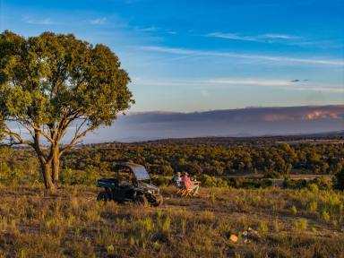 House For Sale - NSW - Gundaroo - 2620 - Where Eagles Soar & The World Slows Down (Image 2)
