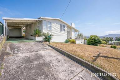 House For Lease - TAS - Claremont - 7011 - Comfortable Family Living in the Heart of Claremont  (Image 2)
