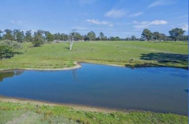Acreage/Semi-rural Leased - NSW - Singleton - 2330 - Stunning horse property 8mins from town.  (Image 2)