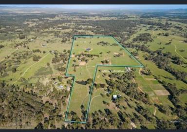 Acreage/Semi-rural Leased - NSW - Singleton - 2330 - Stunning horse property 8mins from town.  (Image 2)