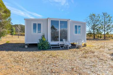 Lifestyle For Sale - NSW - Gulgong - 2852 - RURAL LIFESTYLE RETREAT (Image 2)