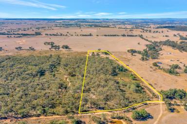 Lifestyle For Sale - NSW - Gulgong - 2852 - RURAL LIFESTYLE RETREAT (Image 2)