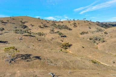 Other (Rural) For Sale - NSW - Mudgee - 2850 - LARGE HOLDING, ENDLESS POTENTIAL (Image 2)