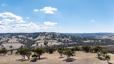 Other (Rural) For Sale - WA - Toodyay - 6566 - VALLEY VIEWS, PRIVACY & ELEVATION  (Image 2)