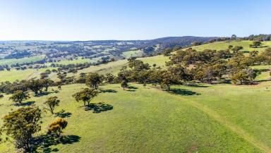 Other (Rural) For Sale - WA - Toodyay - 6566 - VALLEY VIEWS, PRIVACY & ELEVATION (Image 2)